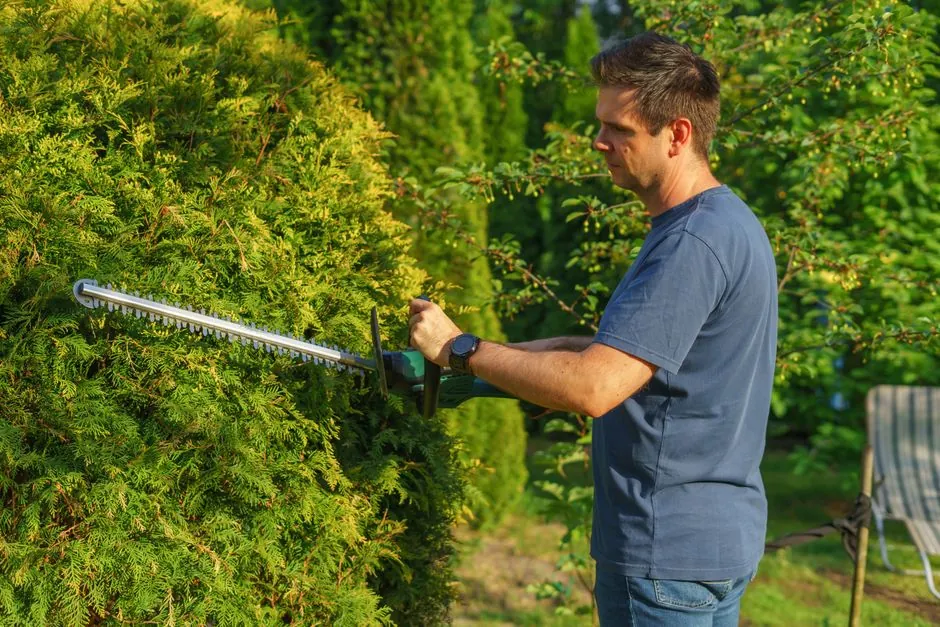 Jardin entretenu sur Albi